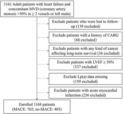 Lipoprotein(a) as a novel biomarker for predicting adverse outcomes in ischemic heart failure